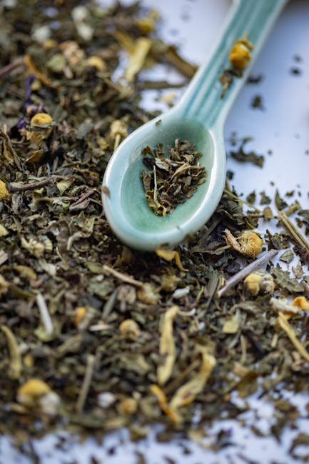 Rodzaje herbat camellia sinensis – właściwości i zastosowania
